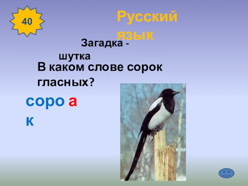 Сорока самая умная. Загадка про сороку. Формы слова сорока. В каком слове сорок согласных. В каком слове сорок говсеых.