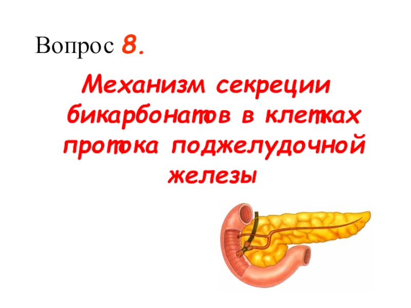 Вопросы железы. Секреция бикарбонатов поджелудочной. Механизм секреции бикарбонатов в поджелудочной железе. Механизм сокоотделения поджелудочной железы. Механизмы секреции ферментов и бикарбонатов.