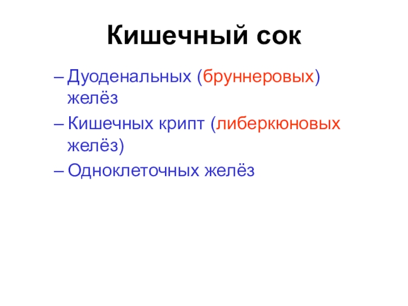 Железа кишечника. Бруннеровы и либеркюновы железы. Бруннеровы железы, их функция, регуляция.. Бруннеровы железы в 12 перстной.