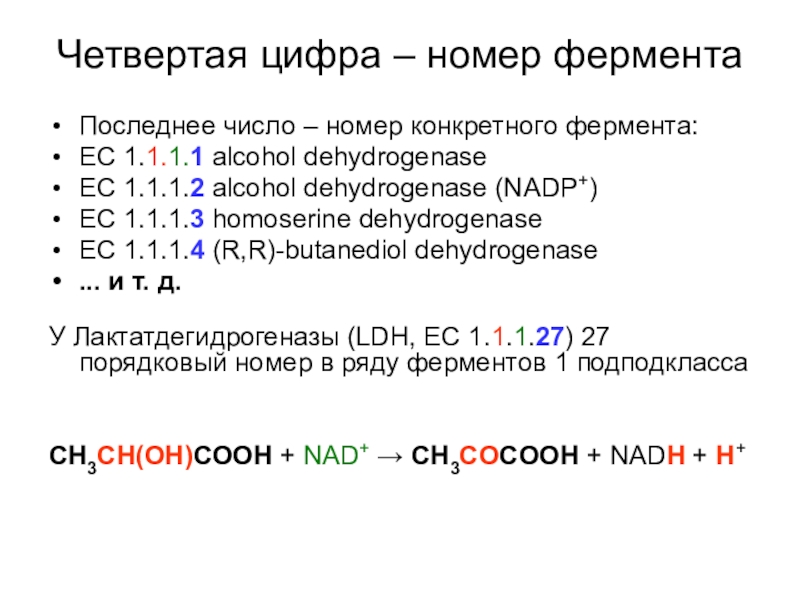 Дождь цифра 4. Порядковый номер фермента. Номера ферментов. Последние 4 цифры номера. Номера ферментов EC 1.1.1.39.