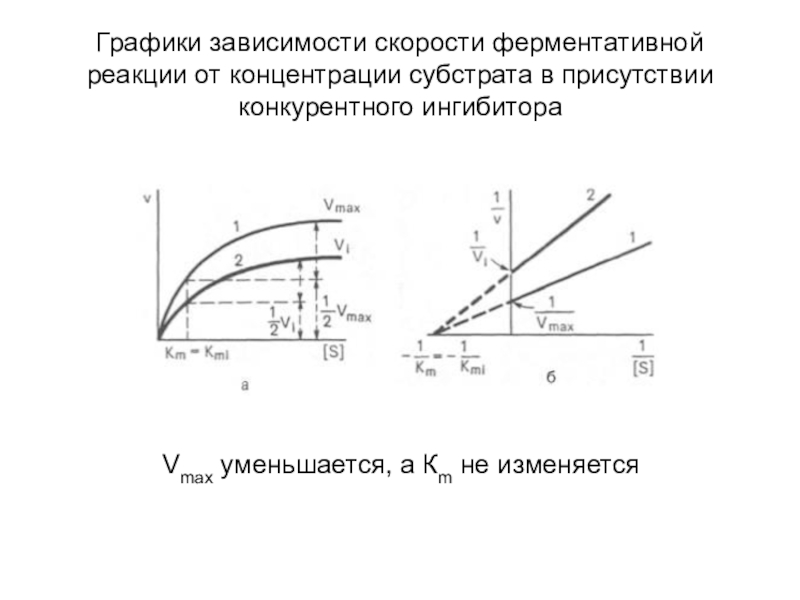 Какой продукт улучшает память скорость реакции и концентрацию