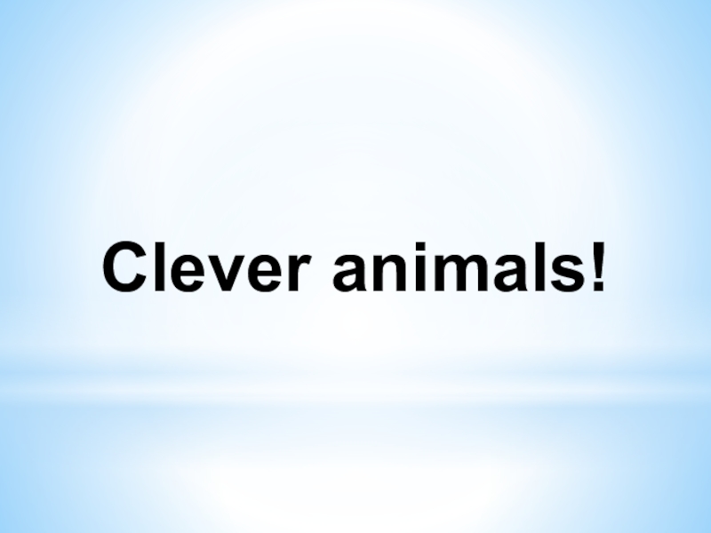 Clever animals!