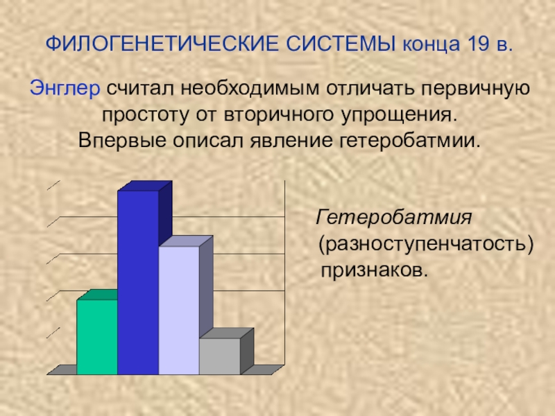 Системах концом. Филогенетическая система Энглера. Гетеробатмия. Принцип гетеробатмии. Гетеробатмия это в биологии.