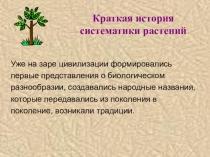 Краткая история
систематики растений
Уже на заре цивилизации формировались