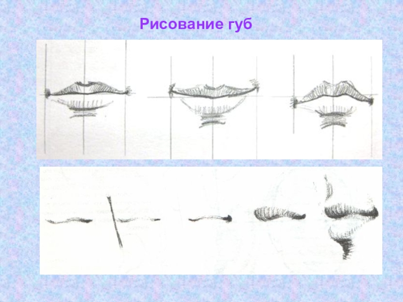 Мудрость старости презентация по изо 4 класс поэтапное рисование