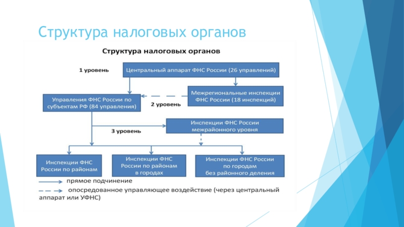 Налоговая структура. Структура налога. Налоговые органы схема. Структура налоговых органов. Система налоговых органов схема.