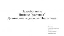 Палеоботаника Низшие “ растения ” Диатомовые водоросли/ Diatomeae