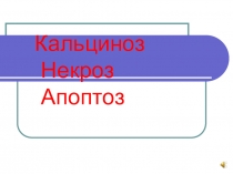 Кальциноз Некроз Апоптоз