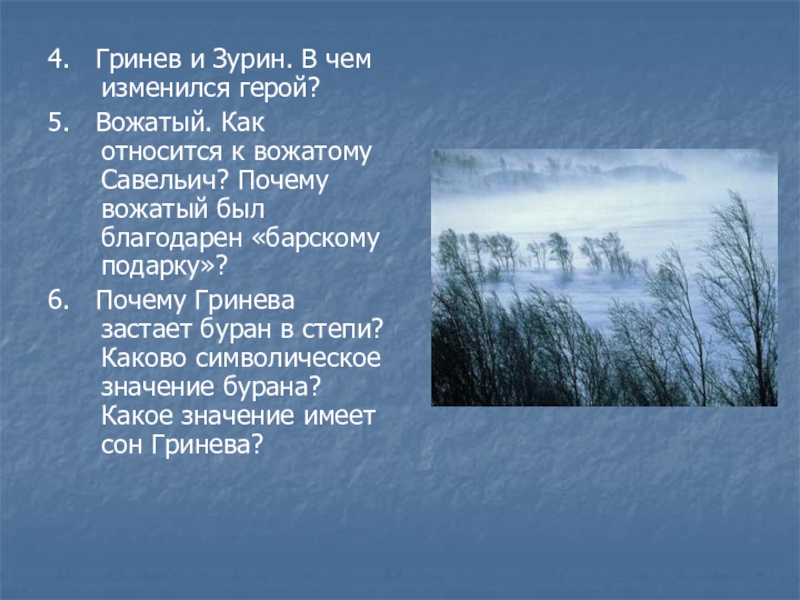 Как характеризует гринева савельича с зуриным. Гринев и Зурин в чем изменился герой. Гринев и Зурин. Буран в степи предложение. Буран текст.