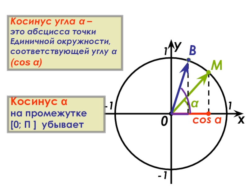 Косинусом угла а называется точки. Абсцисса точки единичной окружности. Косинус. Косинус угла на единичной окружности. Косинус точки единичной окружности.