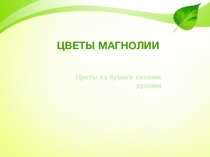 Цветы Магнолии