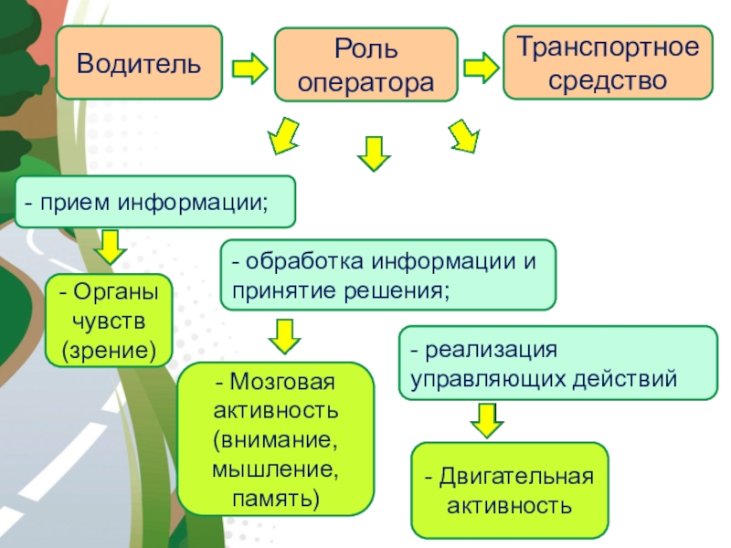 Управлять действиями. Органы чувств прием информации и.