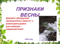 Признаки весны
Давайте обнаружим приход весны вместе с раннецветущими