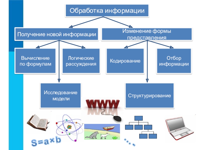 Основная и дополнительная информация текста презентация