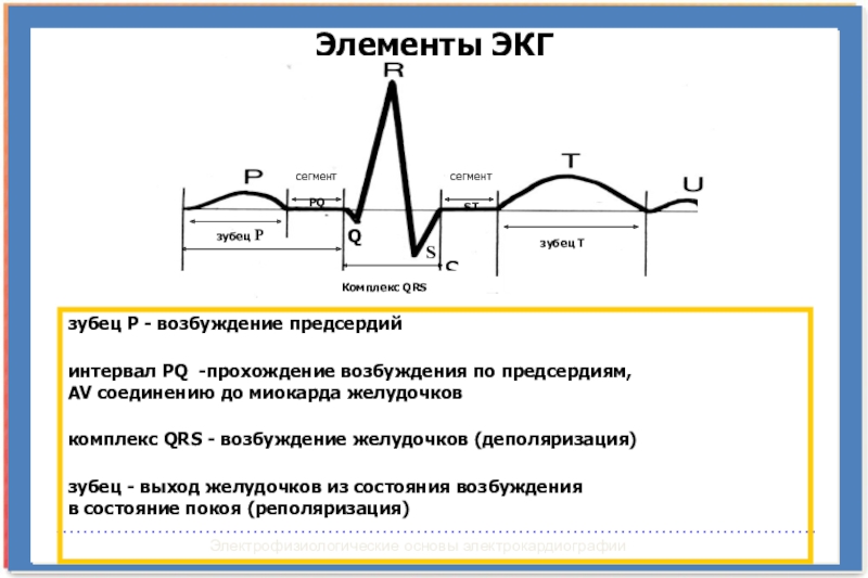 Характеристика экг