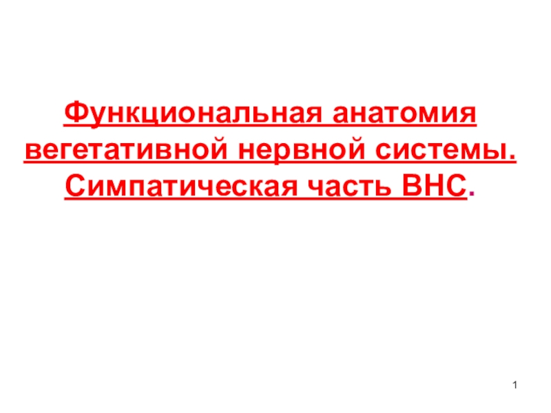 Функциональная анатомия вегетативной нервной системы. Симпатическая часть ВНС