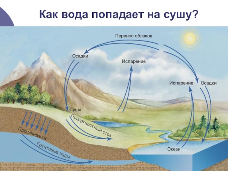 Доклад: Круговороты подземных вод в земной коре