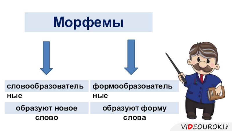 Словообразующая морфема слова