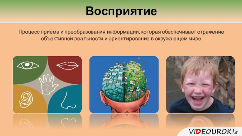 Особенности высшей нервной деятельности человека познавательные процессы 8 класс презентация