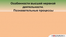 Особенности высшей нервной деятельности.
Познавательные процессы