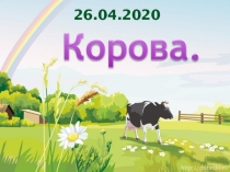 26.04.2020