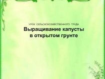 УРОК СЕЛЬСКОХОЗЯЙСТВЕННОГО ТРУДА Выращивание капусты в открытом грунте