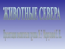 ЖИВОТНЫЕ СЕВЕРА
Презентация воспитателя группы № 3 Меркуловой Е. Н