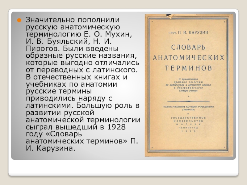 Е терминология. Формирования медицинской терминологии. Мухин анатомическая терминология. История русской медицинской терминологии презентация. Развитие анатомической терминологии.