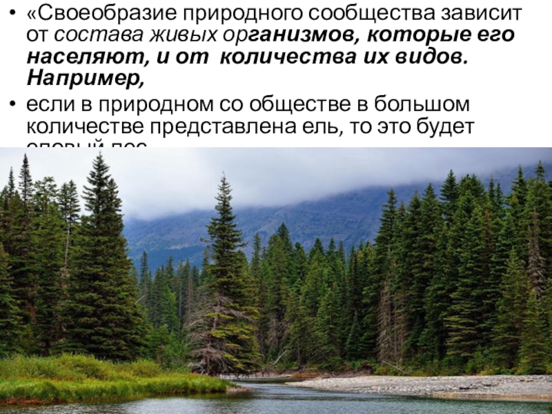 Вид например. Особенности природы Бесушка. Природное сообщество Костромской области. Особенности природы Щелкунья. Особенности природы баавечей.