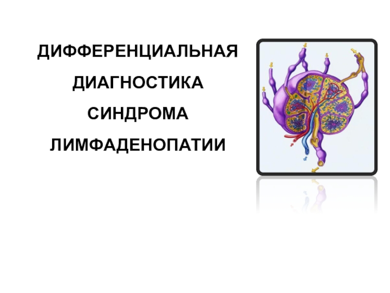 ДИФФЕРЕНЦИАЛЬНАЯ ДИАГНОСТИКА СИНДРОМА ЛИМФАДЕНОПАТИИ