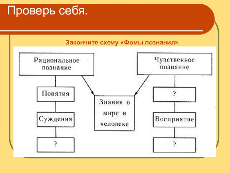 Допиши схему федеральное собрание