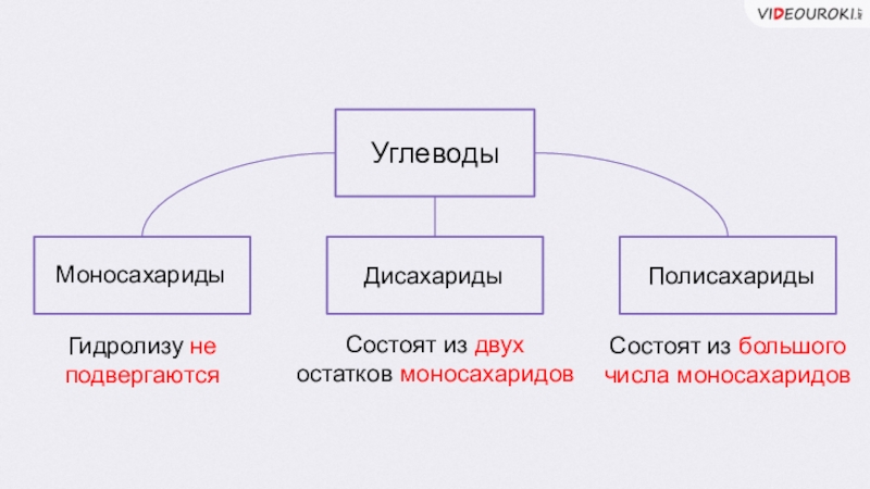 Презентация по химии дисахариды и полисахариды