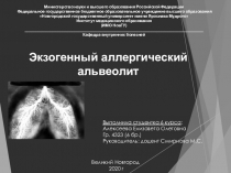 Министерство науки и высшего образования Российской Федерации Федеральное