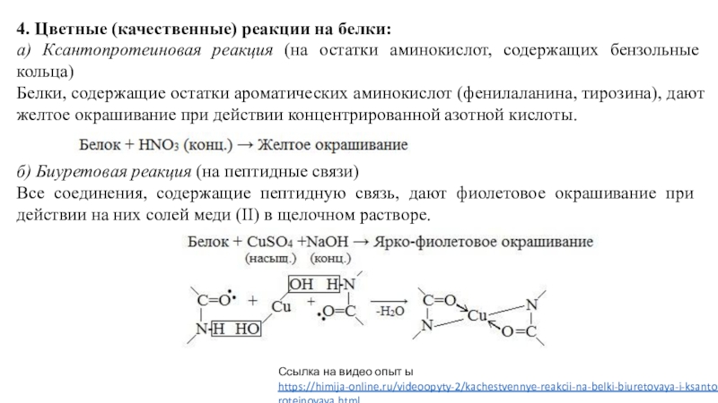 Реакции на белки. Качественные реакции на белки и аминокислоты. Качественные цветные реакции на белок и аминокислоту. Гдз лабораторная качественная реакции на белки. Белки содержащие аминокислоты с бензольным кольцом.