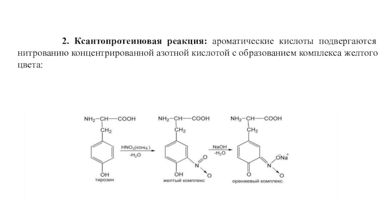 Белки с азотной кислотой. Ксантопротеиновая реакция на тирозин. Уравнение ксантопротеиновой реакции на тирозин. Ксантопротеиновая реакция реакция. Ксантопротеиновая реакция на ароматические аминокислоты.