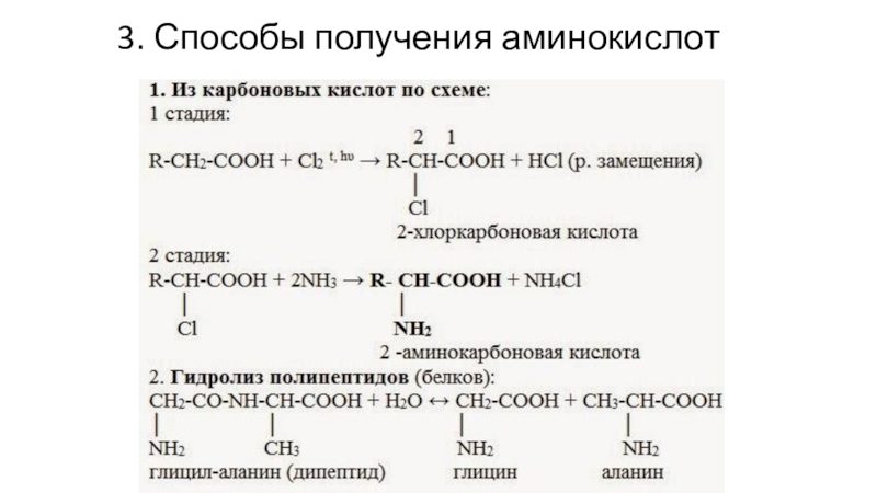 Место синтеза аминокислот. Способы получения аминокислот. 2 Стадия получения аминокислот. Этапы получения аминокислот. Этапы получения аминокислот примеры.