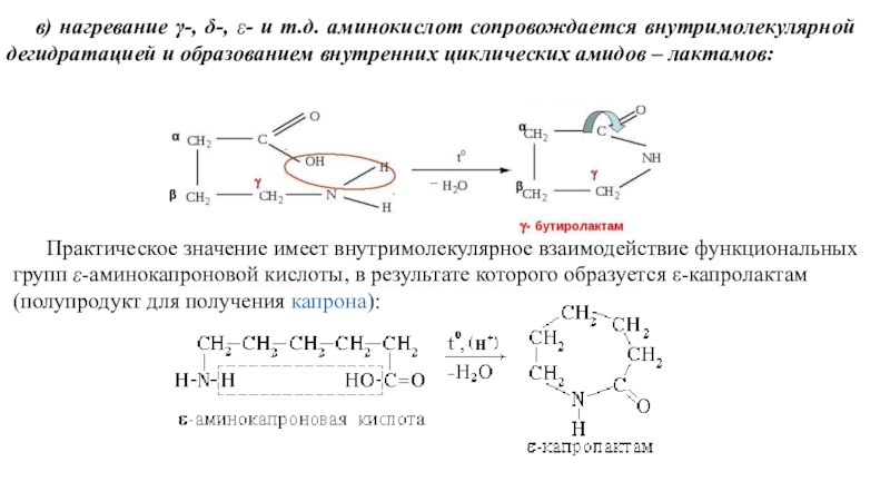 Изобразите схему реакции получения лактама 4 аминомасляной кислоты