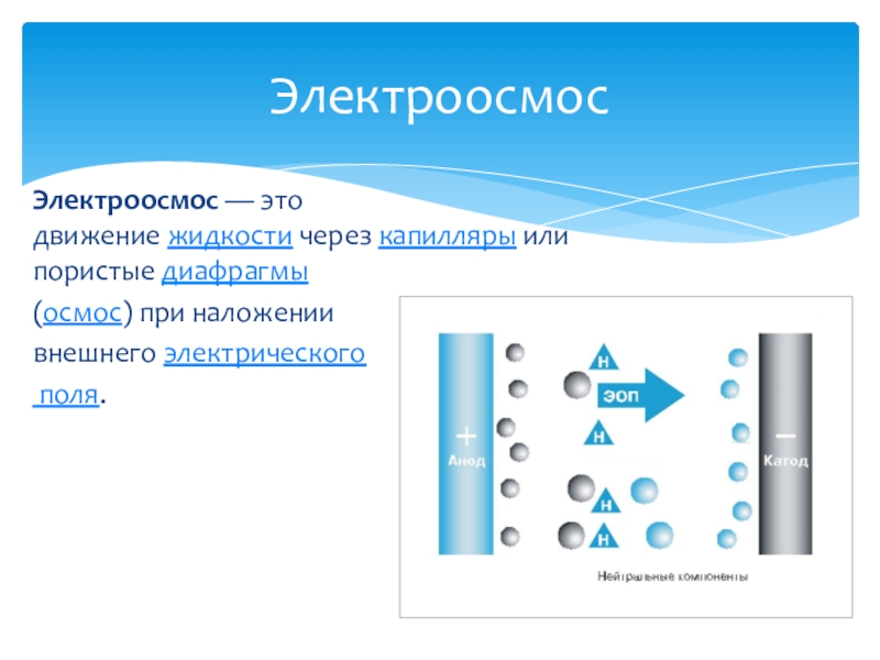 Электроосмос. Электроосмос это в химии. Осмос и электроосмос. Электроосмос в фармации.
