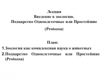 Лекция Введение в зоологию. Подцарство Одноклеточные или Простейшие ( Protozoa )