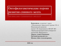 Онтофилогенетические пороки развития спинного мозга.
Выполнила : студентка 1