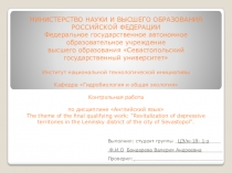 МИНИСТЕРСТВО НАУКИ И ВЫСШЕГО ОБРАЗОВАНИЯ РОССИЙСКОЙ ФЕДЕРАЦИИ Федеральное