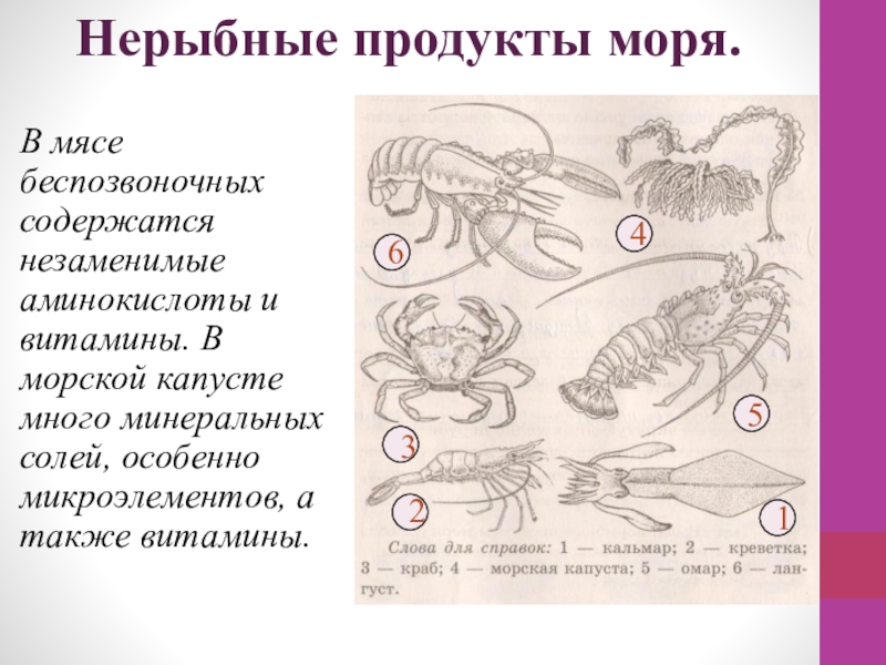 Презентация нерыбные продукты моря и технология приготовления блюд из них 6 класс