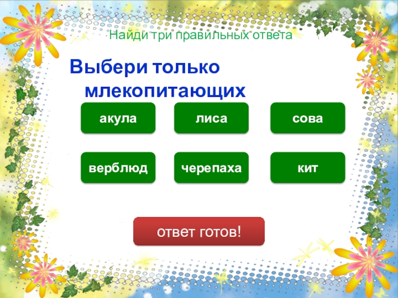 Три поиска. Выберите три правильных ответа. Выбери три правильных ответа. Выбрать три правильных ответа. Акула лиса Сова черепаха медведь.