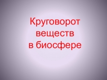 Круговорот веществ
в биосфере