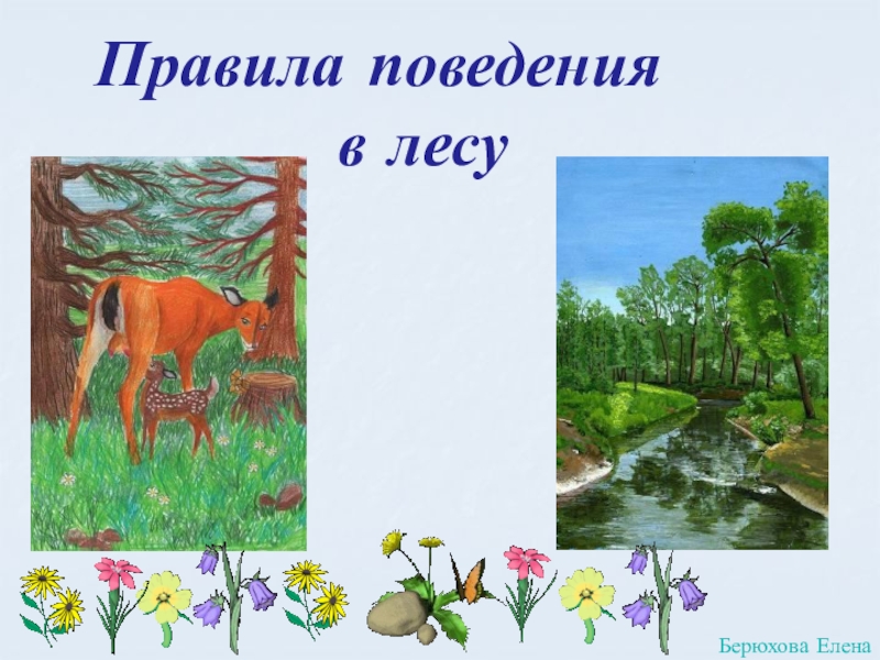 Презентация Правила поведения
в лесу
Берюхова Елена
