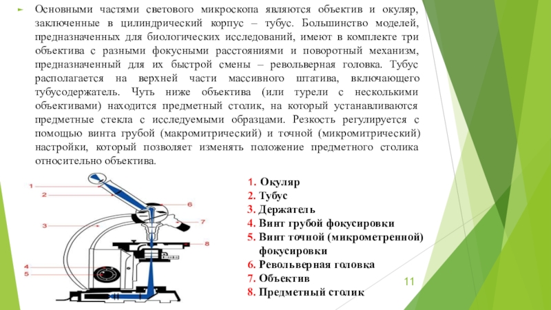 Схема устройства светового микроскопа