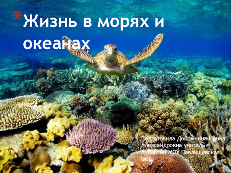 Жизнь в морях и океанах