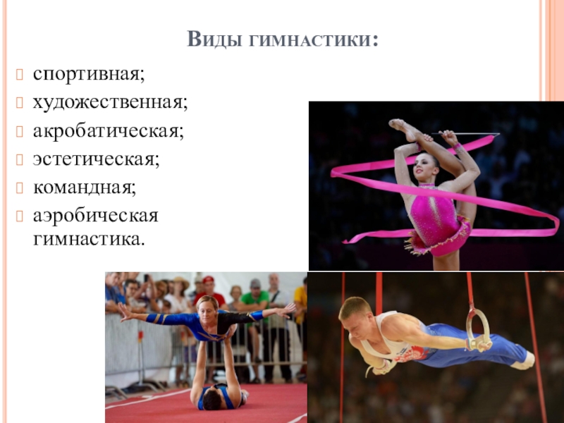 Спортивная гимнастика это вид спорта