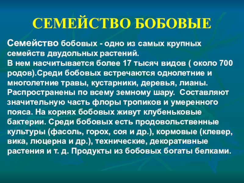 Презентация семейство бобовых