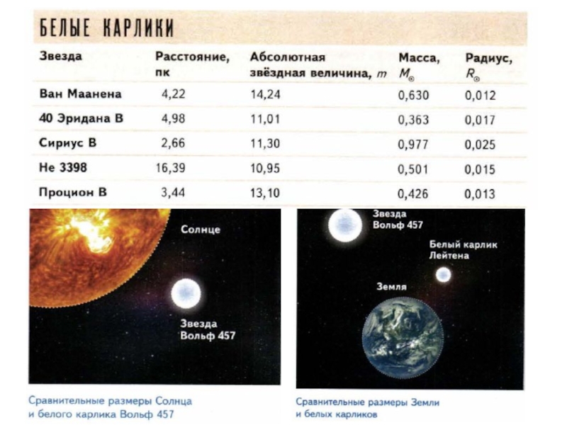 Белые карлики проект